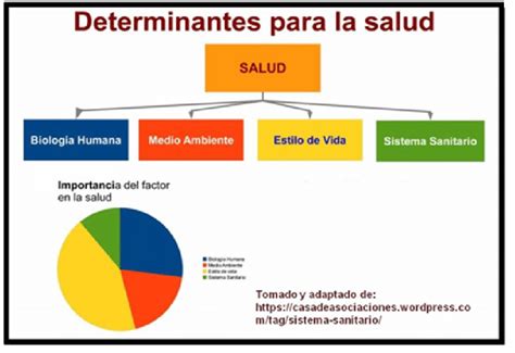 Los Determinantes De La Salud De Ninos Mapa Conceptual Determinantes Images