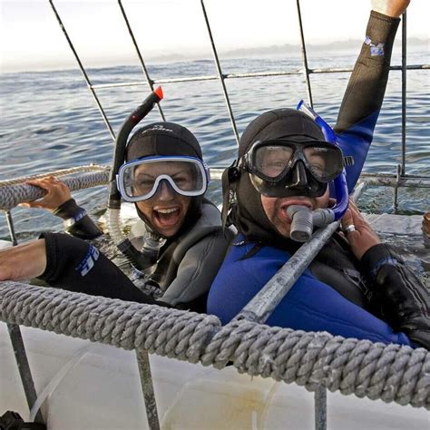 An Account of a Cage Diving Experience in Gansbaai