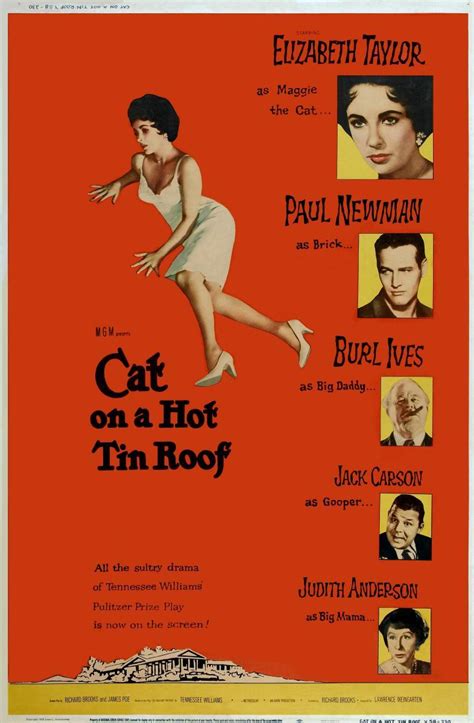 Image Gallery For Cat On A Hot Tin Roof Filmaffinity