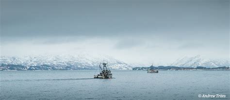 Rapidly changing Arctic fisheries potential requires comprehensive management | Institute for ...