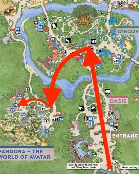 Guide To Avatar Flight Of Passage At Animal Kingdom