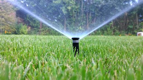 6 Key Tips To Consider When Installing Pop Up Sprinklers Mazero