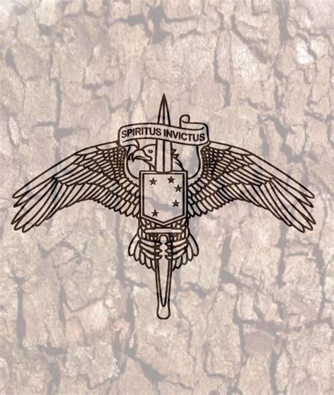 Marsoc Pin Raider Usmc Marine Special Operator 0372 Etsy