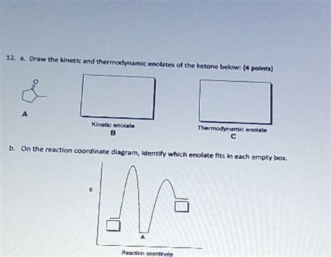 [solved] Asap Please 12 A Draw The Kinetic And Thermodynamic Enolates Of Course Hero