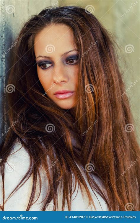 Portrait Of The Beautiful Brunette With Long Hair Stock Image Image