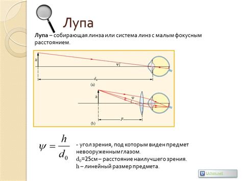 Презентация "Оптические приборы наблюдения" по физике – скачать проект