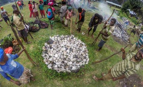 Bakar Batu Tradisi Unik Dari Papua