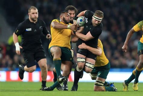 Wallabies All Blacks Bledisloe Cup 2023 Fixtures & Draw