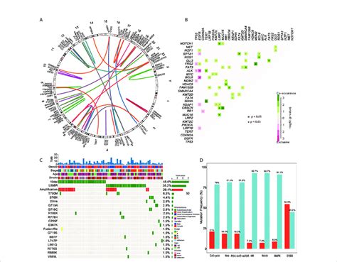 Gene Fusion Co Mutation Egfr Mutations And Mutational Gene Pathways Download Scientific