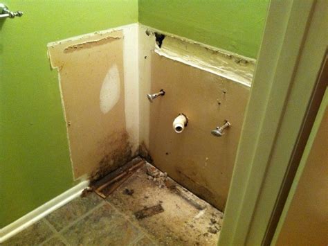 Bathroom Mold Removal Drywall | Home Design Ideas