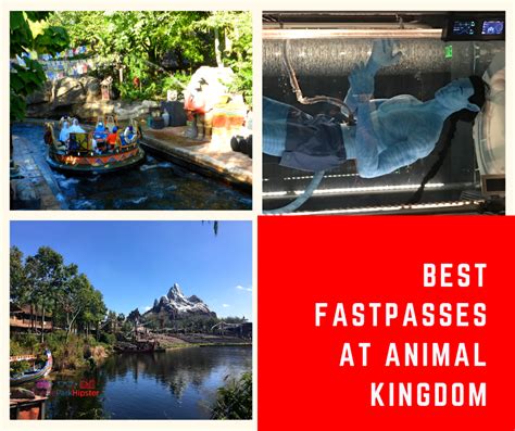 Omg The Best Disney Fastpass Secrets Everyour Definitive Guide Themeparkhipster