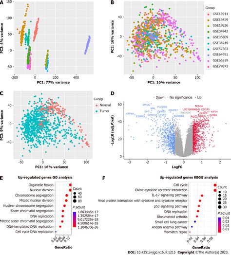 Integrated Analysis Of Single Cell And Bulk RNA Seq Establishes A Novel