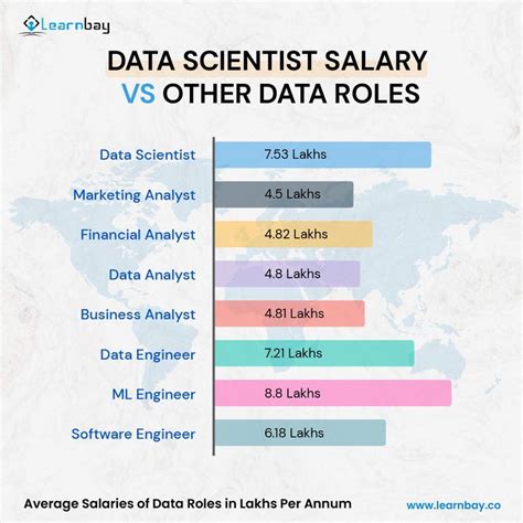 Data Analyst Career Path Options Roles Skills And Requirements Artofit