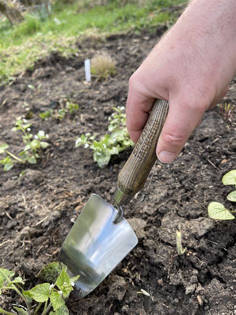 Review Spear And Jackson Traditional Garden Hand Tools Hand Trowel Fork And Transplanting