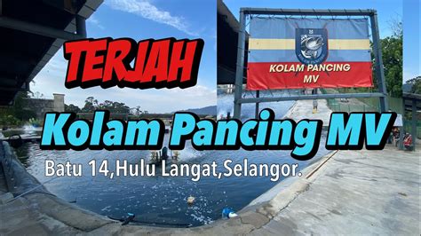 KOLAM PANCING MV Batu 14 Hulu Langat TERJAH YouTube