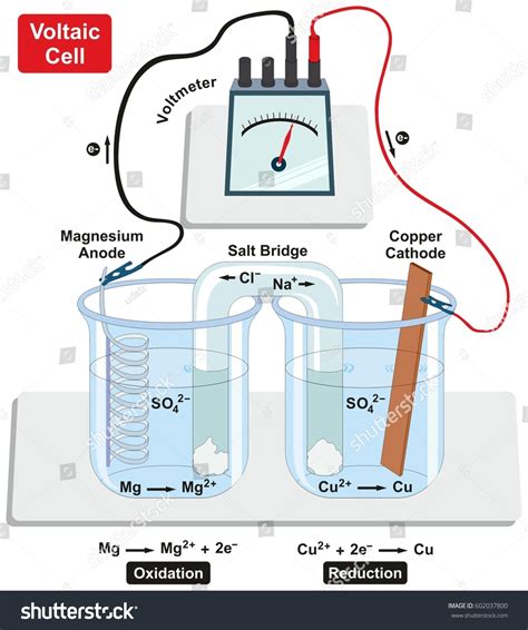 Galvanic Cell Cathode Anode