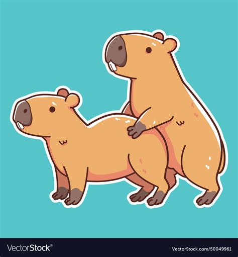 Capybara Mating Royalty Free Vector Image Vectorstock