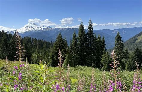 10 Best hikes and trails in Mount Baker Wilderness | AllTrails