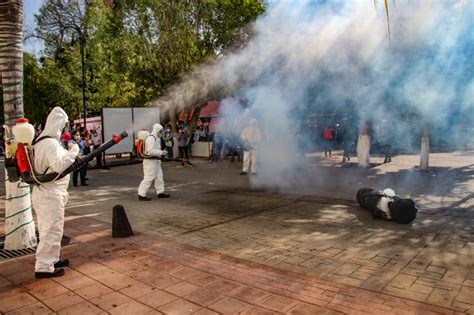 Encabeza Homero Mtz Arranque De Campa A Contra El Dengue Gobierno