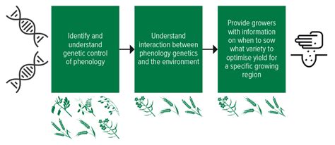 Improved Sowing Date Data To Lift Crop Potential Groundcover