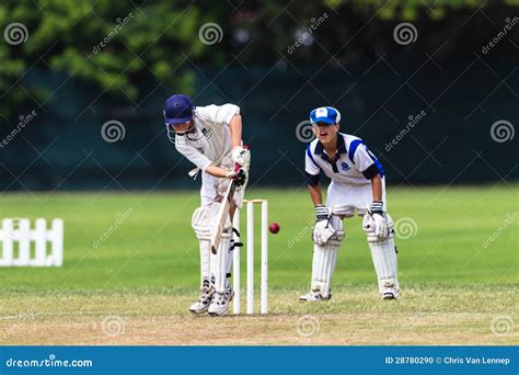 Cricket Junior Action Batsman Editorial Image Image Of Game Schools