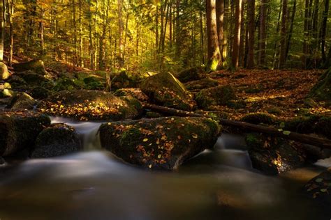 K K Germany Dresden Autumn Parks Stones Foliage Stream