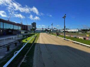 Perry Barr Greyhound Stadium - Dog Track