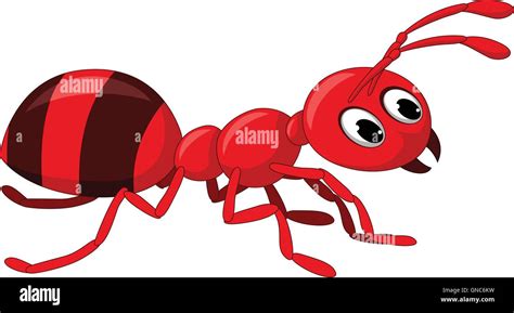 Dibujos Animados De La Hormiga Roja Imagen Vector De Stock Alamy