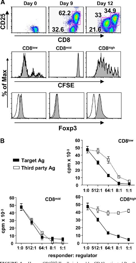 Figure From Efficient Induction And Expansion Of Human Alloantigen