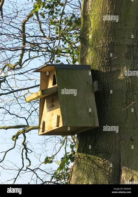 Owl Nesting Box Stock Photo - Alamy