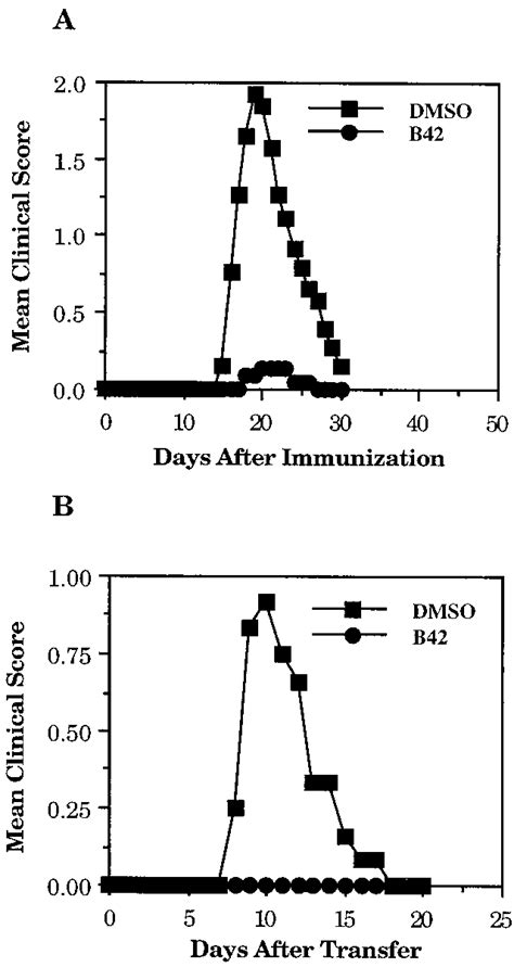 Prevention Of Eae By Treatment With Tyrphostin B Active Eae Was