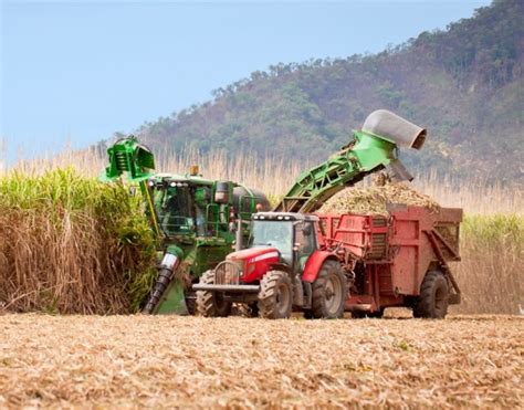 Setor sucroenergético mostra avanços tecnológico e ambiental diz Siam