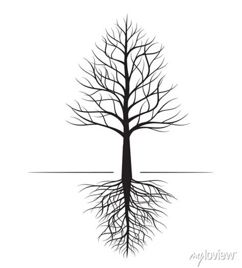 Shape Of Naked Tree And Roots Vector Outline Illustration Plant