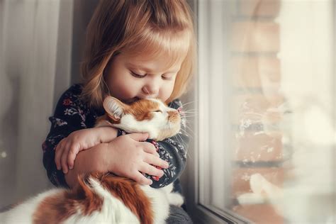 What Are The Best Cats For Kids? Top 5 Breeds, According To Experts