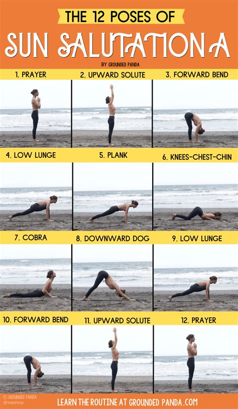 Learn How To Do The 12 Poses Of Sun Salutations Beginner Friendly