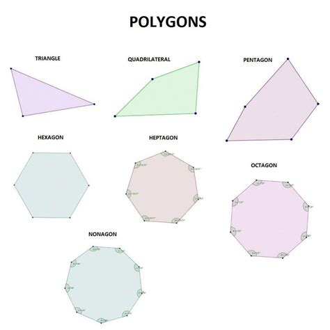 The Fascinating Sides Of A Convex Heptagon