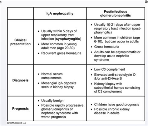 Usmle Step Nephrology Flashcards Quizlet