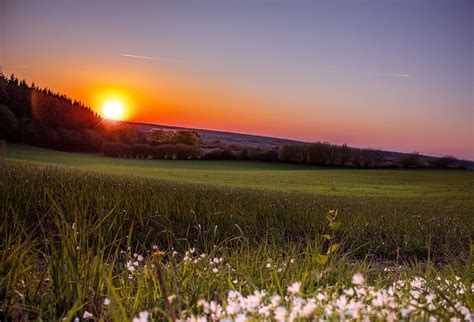 Grassy Field Sunset