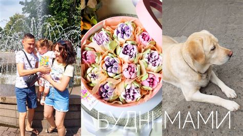 🙋‍♀️БУДНІ МАМИ🚙 ЗНОВУ ПЕРЕЇЗД🌺МОЯ РОБОТА🏡ДОМАШНІ СПРАВИ🍆ГОТУЄМО РАЗОМ🍏 ...