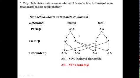 Probleme Genetica Clasa A Viii A Programa Noua Youtube