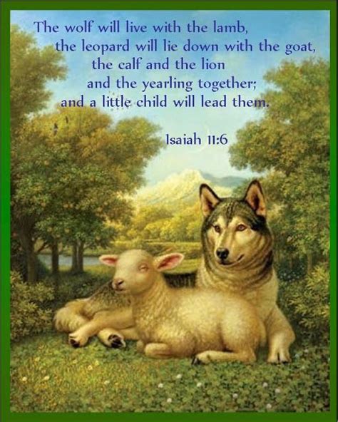 Mditm Isaiah 116 The Wolf Will Live With The Lamb Isaiah 11 Book