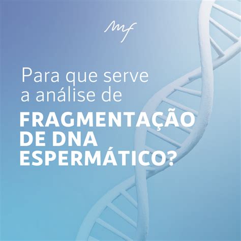 Para Que Serve A Análise De Fragmentação De Dna Espermático