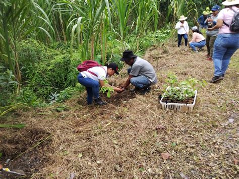 Comité De La Cuenca Hidrográfica 105 Rio Coclé Del Norte Realizó Una