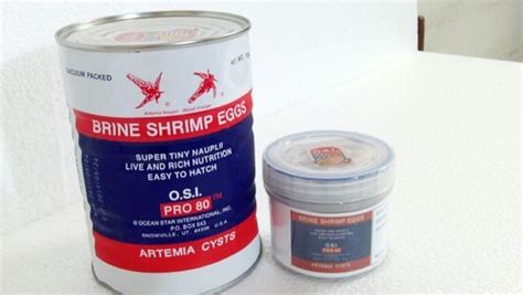 OSI Pro 80 Brine Shrimp Eggs Artemia 100 Grams At Rs 1050 Pack