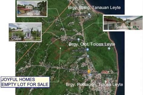 Land For Sale In Leyte Dot Property