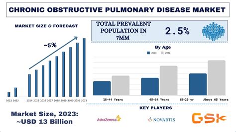 Chronic Obstructive Pulmonary Disease Market Size Share 2024 2032