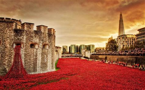 Poppies: Tower Of London's Powerful Art Installation Returns To London