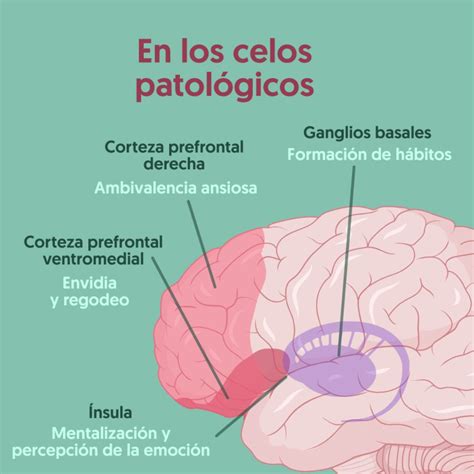 Neuroclass On Twitter Resentimiento Desconfianza Ansiedad Y Dolor