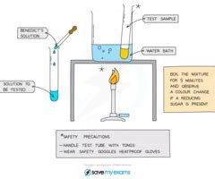 Practical Investigating Food Samples Needed For Exams