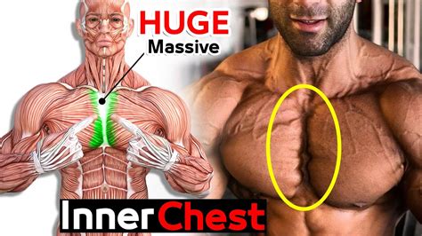 Best 6 Exercises Inner Chest 🔥 Youtube